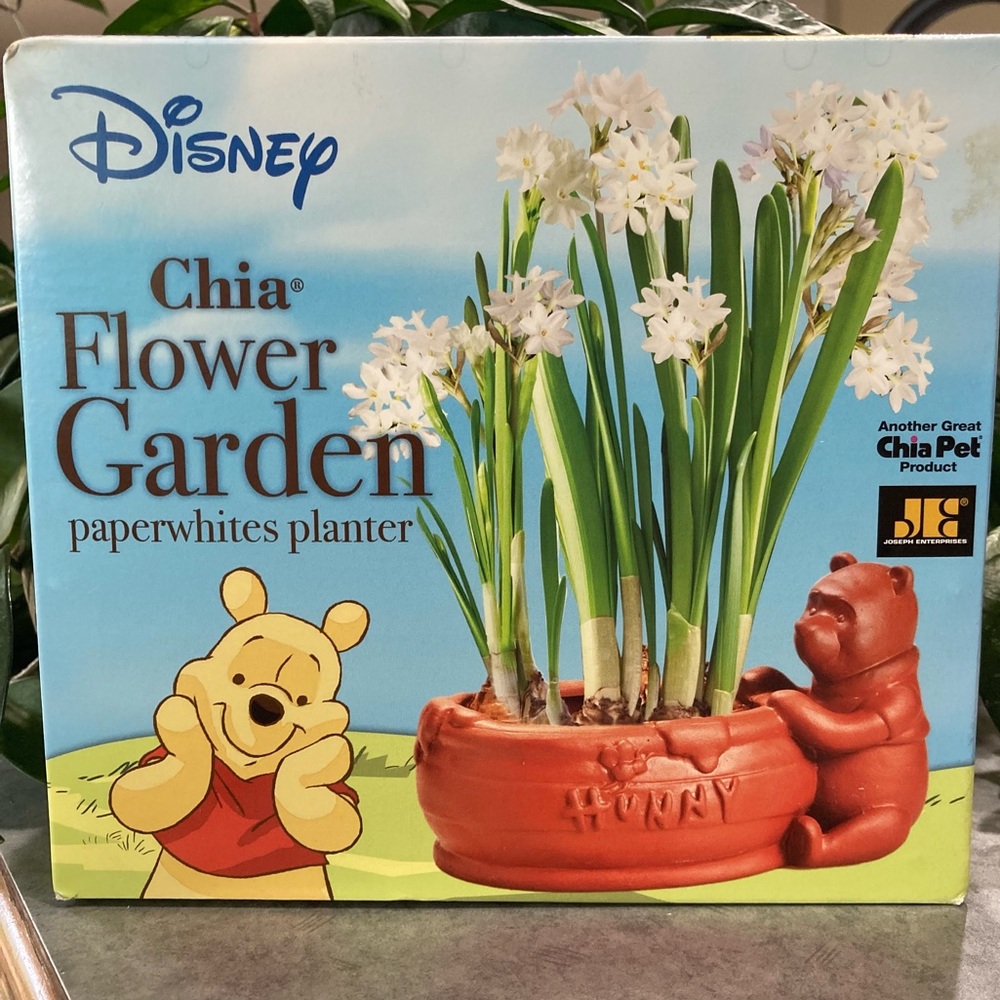 Disney Winnie The Pooh Chia Paperwhites Planter Flower Garden Chia Pet Sealed
